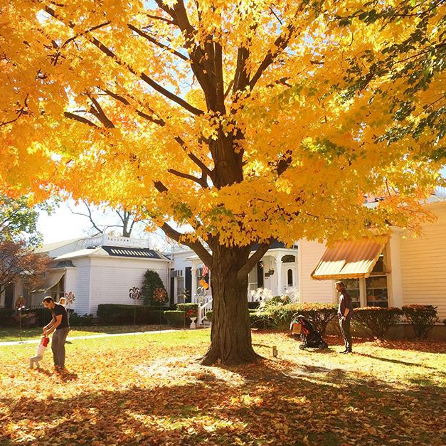 Fall Colors - @em_delaney